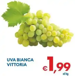 MD Discount Uva bianca vittoria offerta