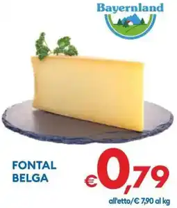 MD Discount Fontal belga Bayernland offerta