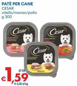 MD Discount Patè per cane Cesar offerta