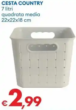 MD Discount Cesta country offerta