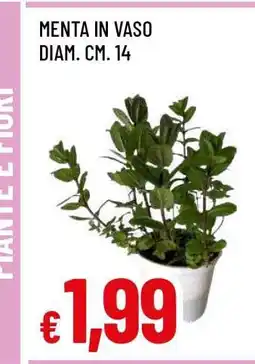 Famila MENTA IN VASO offerta