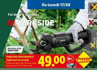 Lidl PARKSIDE PERFORMANCE Tagliarami ricaricabile offerta