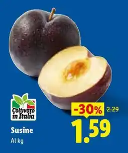 Lidl Susine offerta