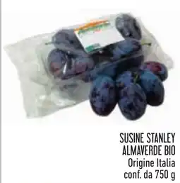 Conad Susine Stanley Almaverde Bio offerta