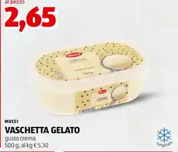 Spazio Conad Mucci vaschetta gelato gusto crema offerta