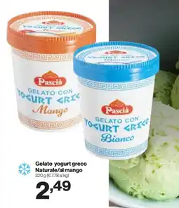 In'S Mercato Gelato yogurt greco Naturale/al mango offerta