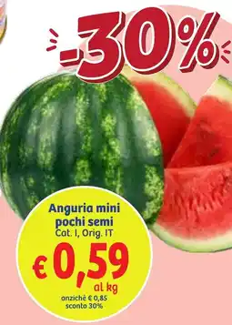 In'S Mercato Anguria mini pochi semi offerta