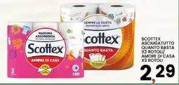 Interspar Scottex asciugatutto offerta