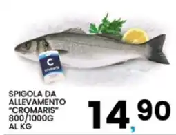 Interspar Spigola da allevamento Cromaris offerta