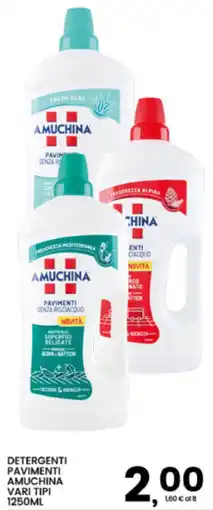 Interspar Detergenti pavimenti Amuchina vari tipi offerta