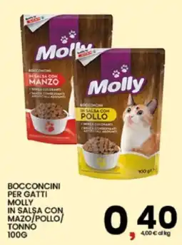 Interspar Bocconcini per gatti Molly in salsa offerta