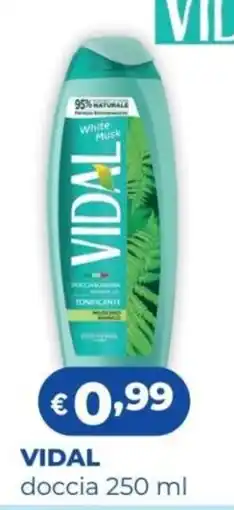 Acqua & Sapone Vidal doccia offerta