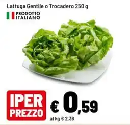 Iper La Grande Lattuga Gentile o Trocadero offerta