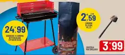 Ard Discount Barbeque a carbone rettangolare offerta