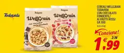 Ard Discount Todavida WellGrain integrale con cioccolato extra fondente offerta