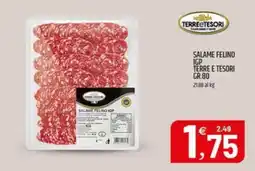 Ard Discount Salame Felino IGP Terre e Tesori offerta