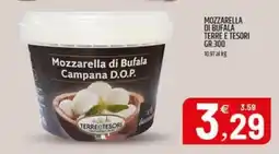 Ard Discount Mozzarella di Bufala Campana D.O.P. Terre e Tesori offerta