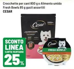 Iper La Grande Crocchette per cani o Alimento umido Fresh Bowls CESAR offerta