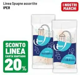 Iper La Grande Linea spugne iper offerta