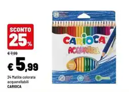 Iper La Grande Matite colorate acquerellabili Carioca offerta