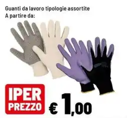 Iper La Grande Guanti da lavoro offerta