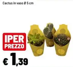 Iper La Grande Cactus in vaso offerta