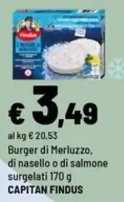 Iper La Grande Burger di merluzzo, di nasello o di salmone surgelati capitan findus offerta