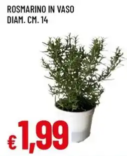 Famila Superstore Rosmarino in vaso offerta