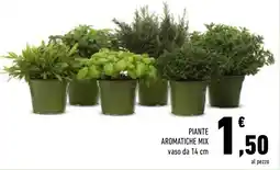 Conad Superstore Piante aromatiche mix offerta