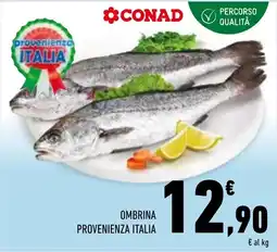 Conad Superstore Ombrina offerta
