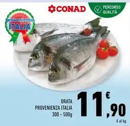 Conad Superstore Orata offerta