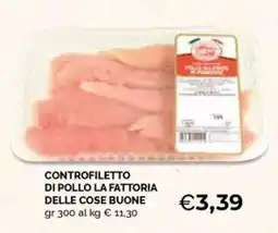 Maxisconto Controfiletto di pollo La Fattoria delle cose buone offerta