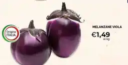 Maxisconto Melanzane viola offerta