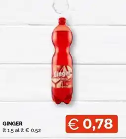 Maxisconto Ginger offerta