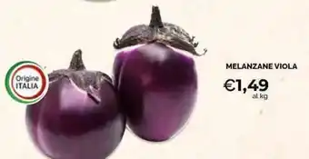 Mercatò Local Melanzane viola offerta