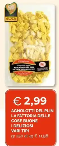 Maxisconto Agnolotti del Plin La Fattoria delle Cose Buone offerta