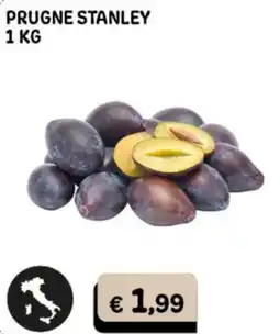 Gala Supermercati Prugne Stanley offerta