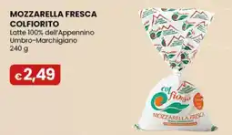 Gala Supermercati Mozzarella fresca colfiorito offerta