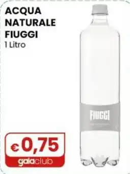 Gala Supermercati Acqua naturale Fiuggi offerta