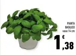Conad Margherita Pianta basilico offerta