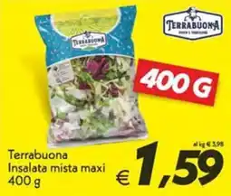 Iper Super Conveniente Terrabuona Insalata mista maxi offerta