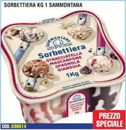 Immenso Cash Sorbettiera Sammontana offerta