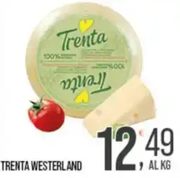 Cash pro Trenta Westerland offerta