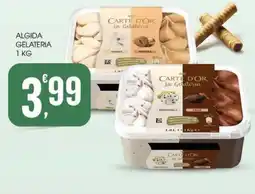 Vibian Algida gelateria offerta