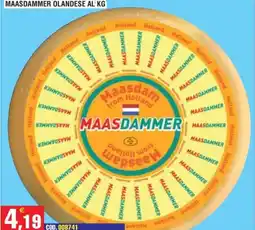 Immenso Cash Maasdammer Olandese offerta