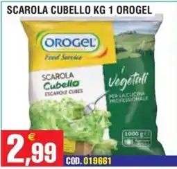 Immenso Cash Scarola Cubello Orogel offerta