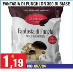 Immenso Cash Fantasia di Funghi Di Biase offerta