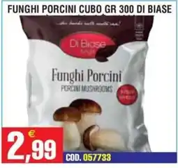 Immenso Cash Funghi Porcini Di Biase offerta