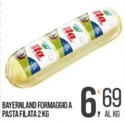 Cash pro Bavaria formaggio a pasta filata offerta