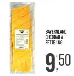 Cash pro Bavaria cheddar a fette offerta